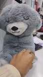 Breathing Teddy Bear